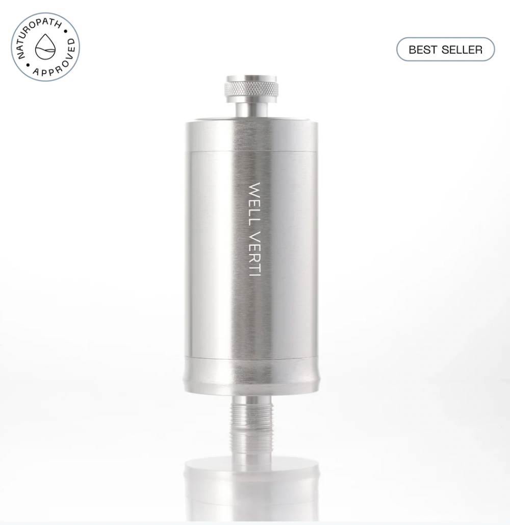 Wellness Pod - Shower Filter (Silver)